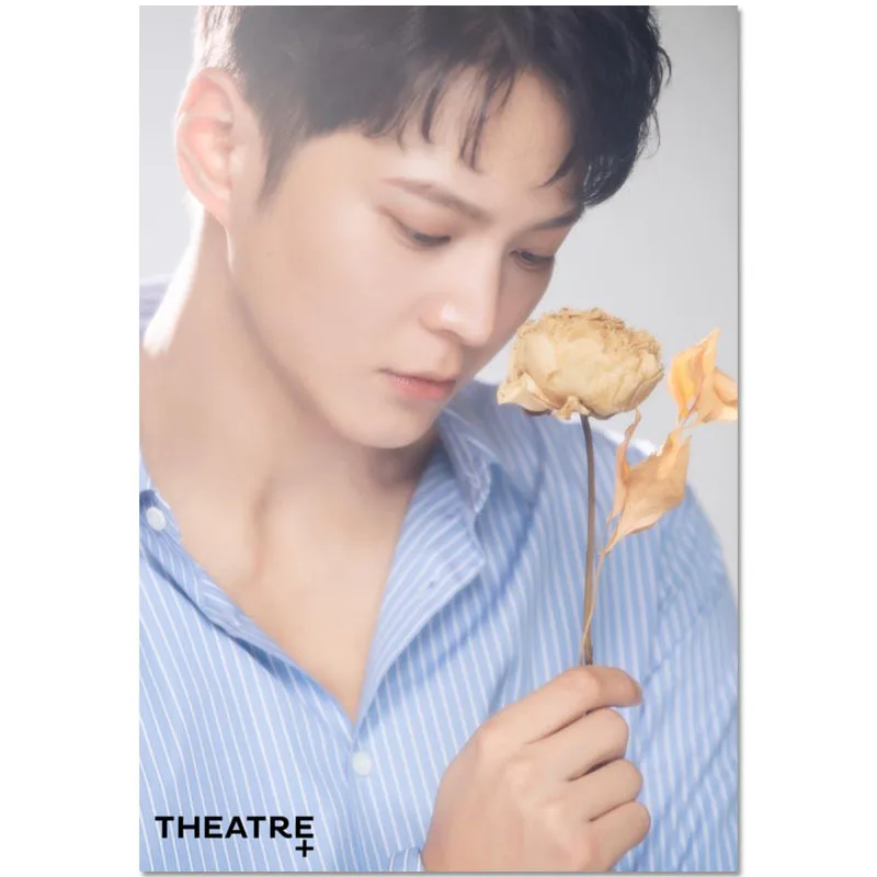 

На заказ, горячая Распродажа, Постер Joo won, украшение для дома, модный холщовый материал, настенный постер 20x30 см, 27x40 см