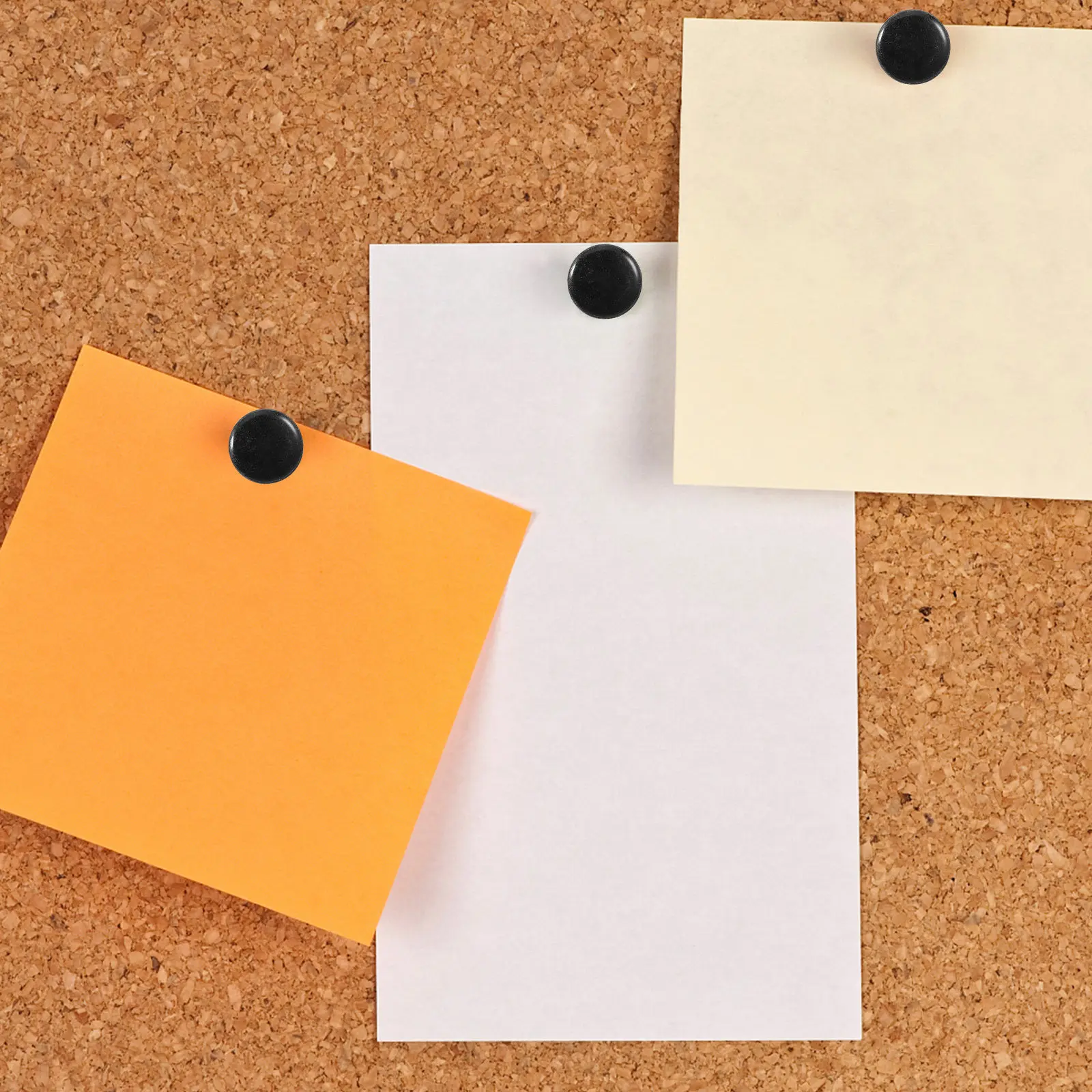 둥근 머리형 게시판 핀 플라스틱 평면 머리형 압정 코르크보드 사진 벽 장 푸시핀 문구류