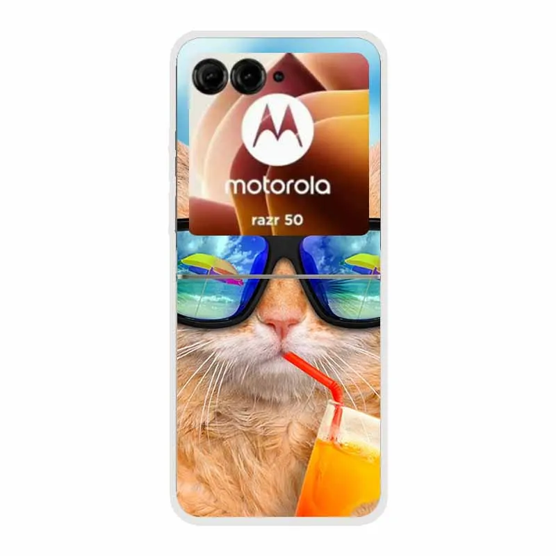 Cartoon Design Transparent Hard Plastic Back Cover Case