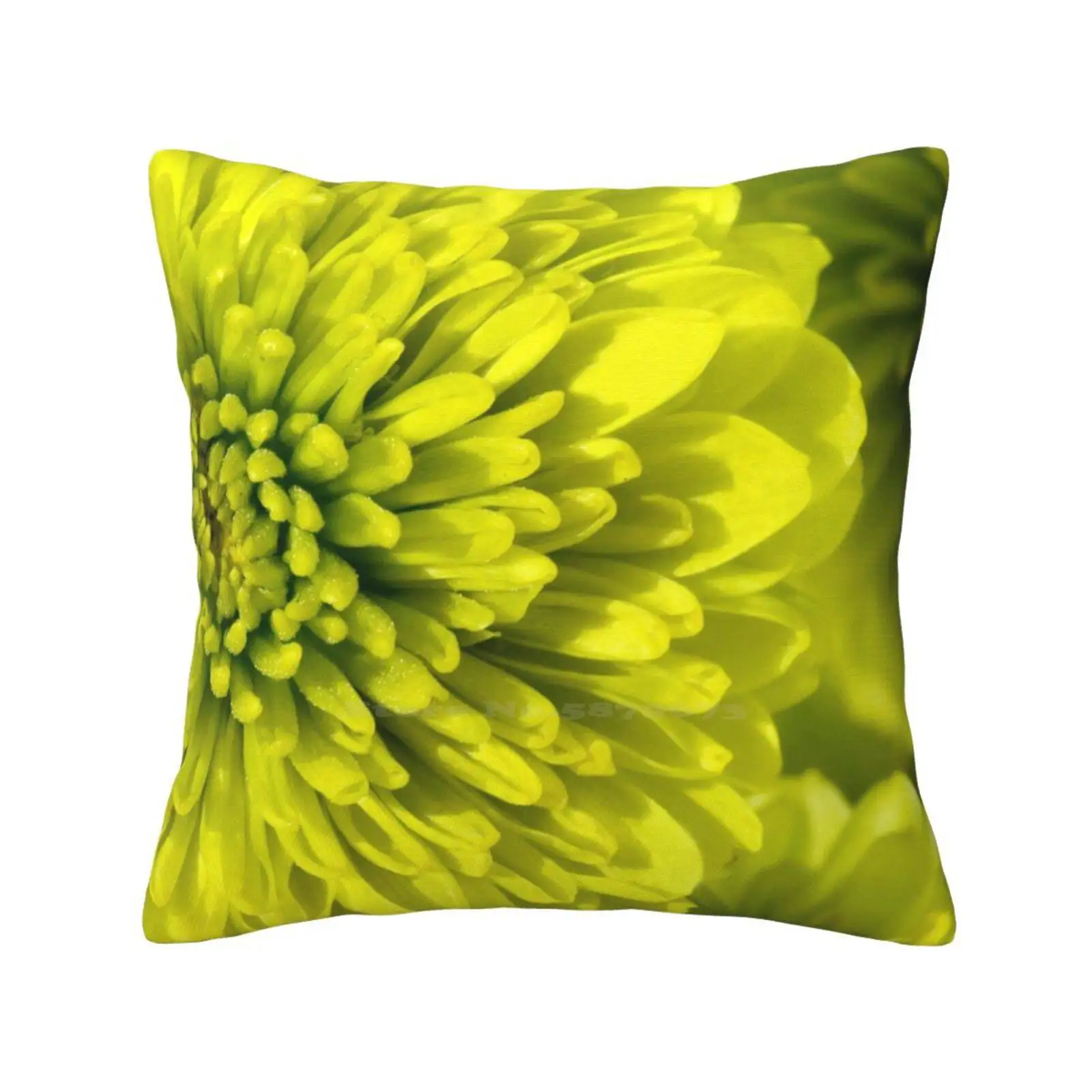 Chartreuse Fodera Per Cuscino Abbraccio Federa Chartreuse Fiori Verde