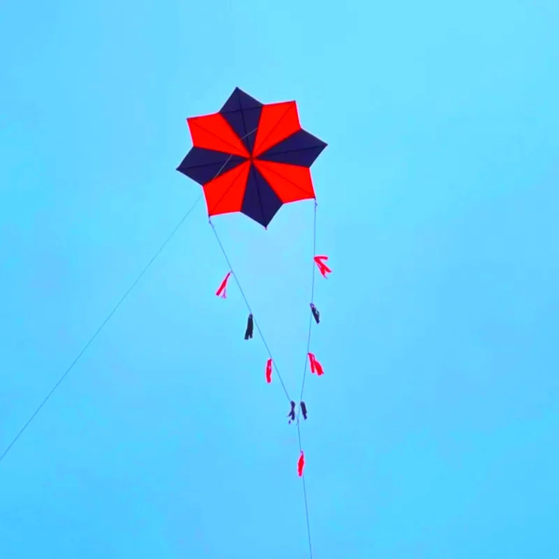 

Free Shipping Gossip Kites flying for adults kites string kevlar line professional wind kite factory windsurf papalote kites bar