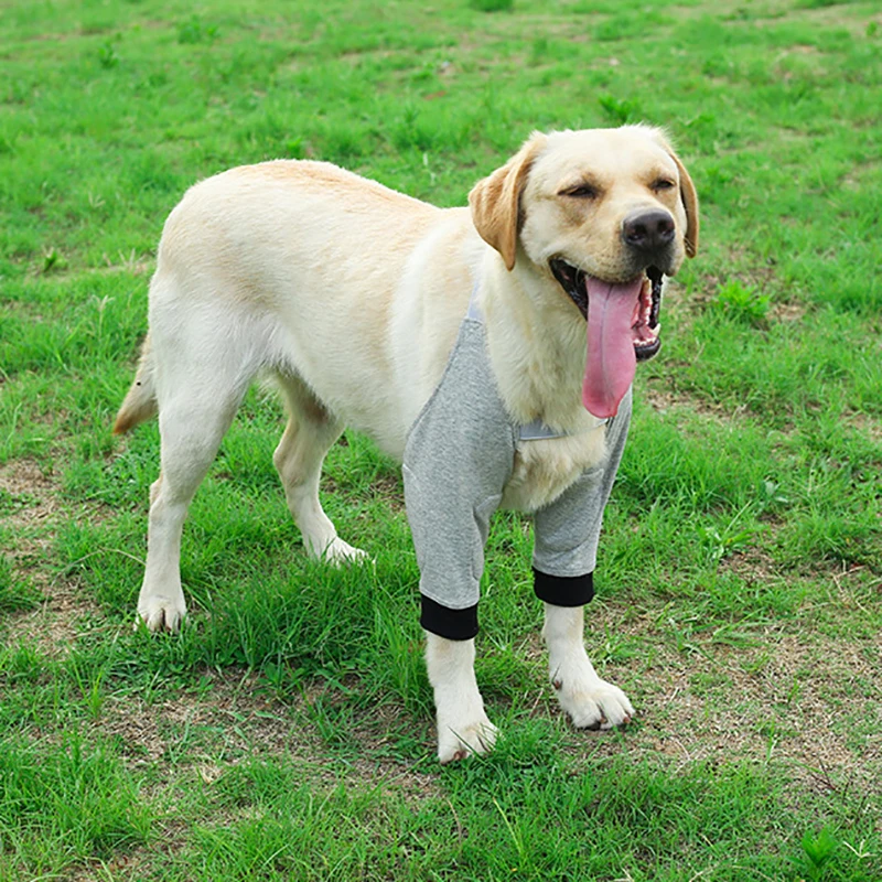 Protège-coude pour chien, protection Anti-léchage des épaules