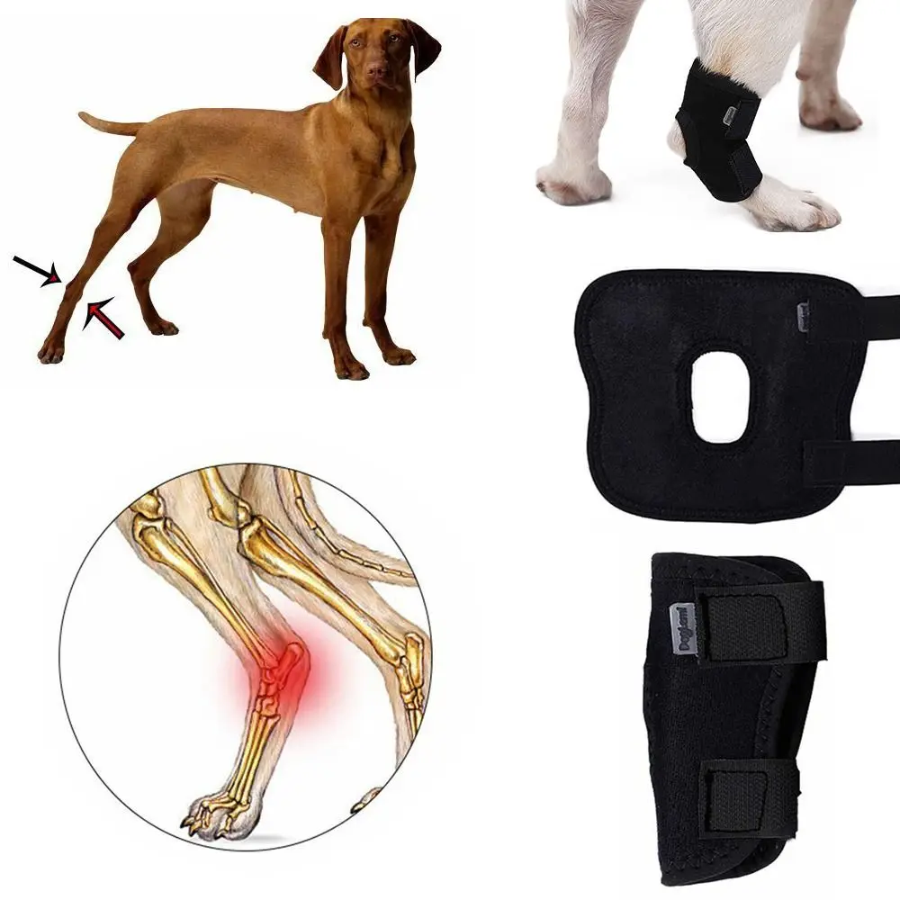 Bandage Dog Arthritis Protector Cover Pain Relief Dog Leg Support