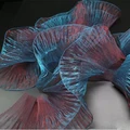 Peacock Blue