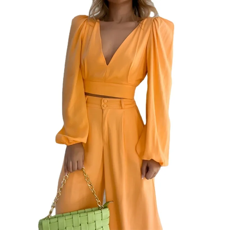 Set For Women 2023 Autumn New Cropped Top V-neck Backless Sexy Suit Fashion Casual Ladies Loose Wide Legs Trousers Suits MsChuh