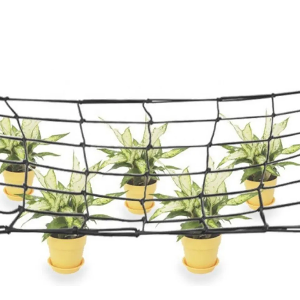 Red De Malla Cuadrada Para Plantas De Escalada, Enrejados De Poliéster Y  Nailon Blanco, 6x6 Pulgadas,, image size:960x960