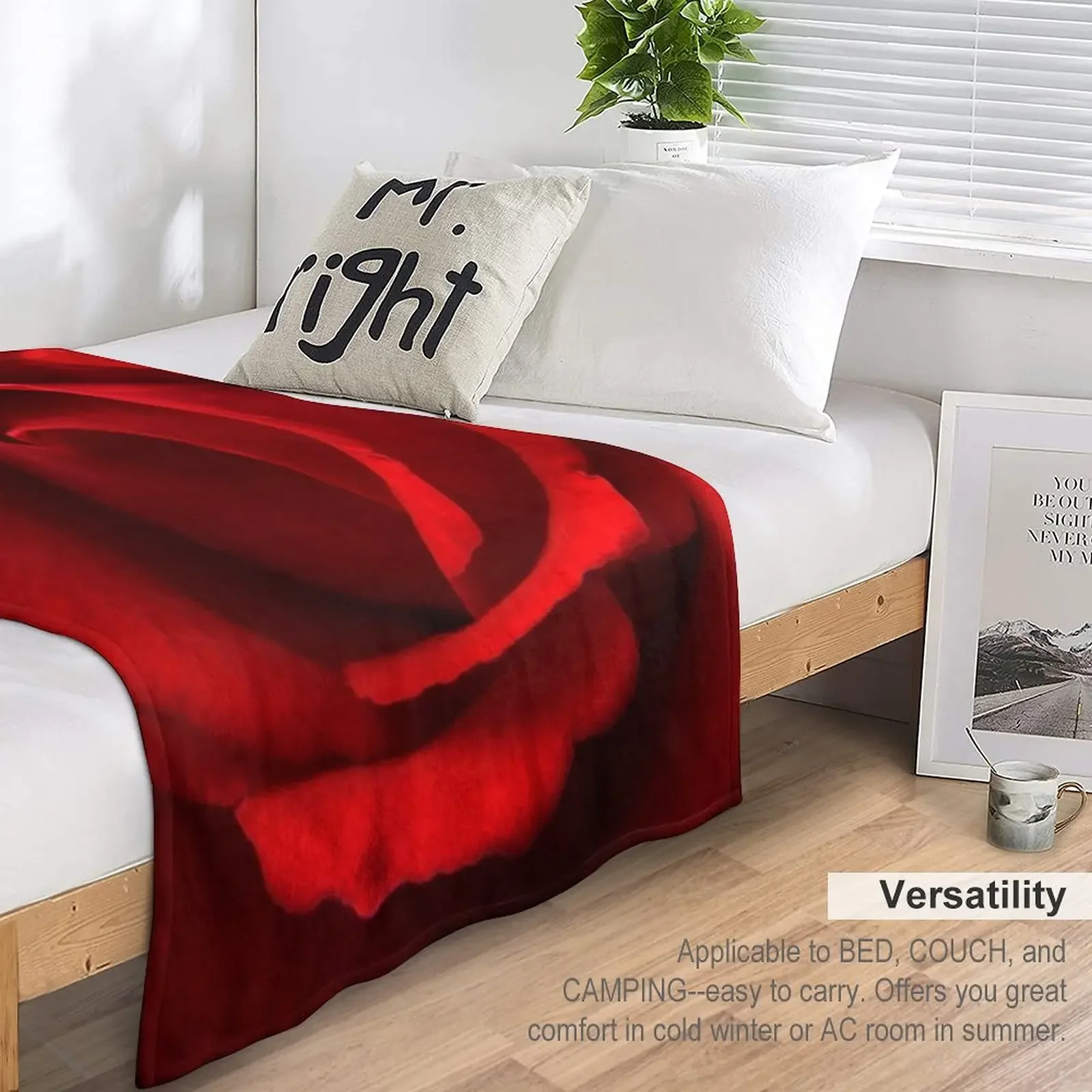 ħ�� ��ũ�� ���, ���� ��� ������ ���