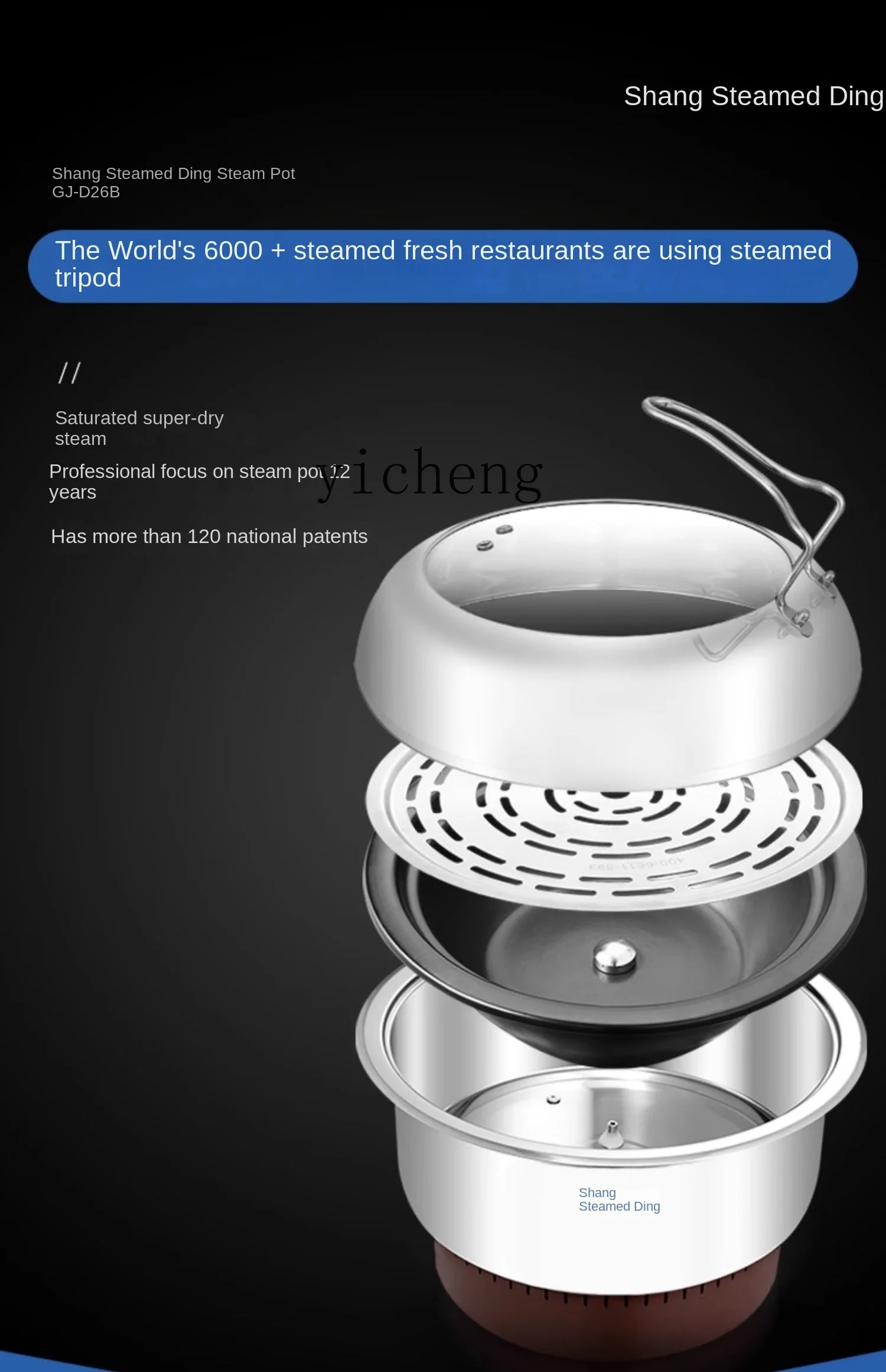 Tqh Seafood Steam Pot Steamer Electric Steamer Multi-Functional Hot Pot Sauna Steamed and Boiled