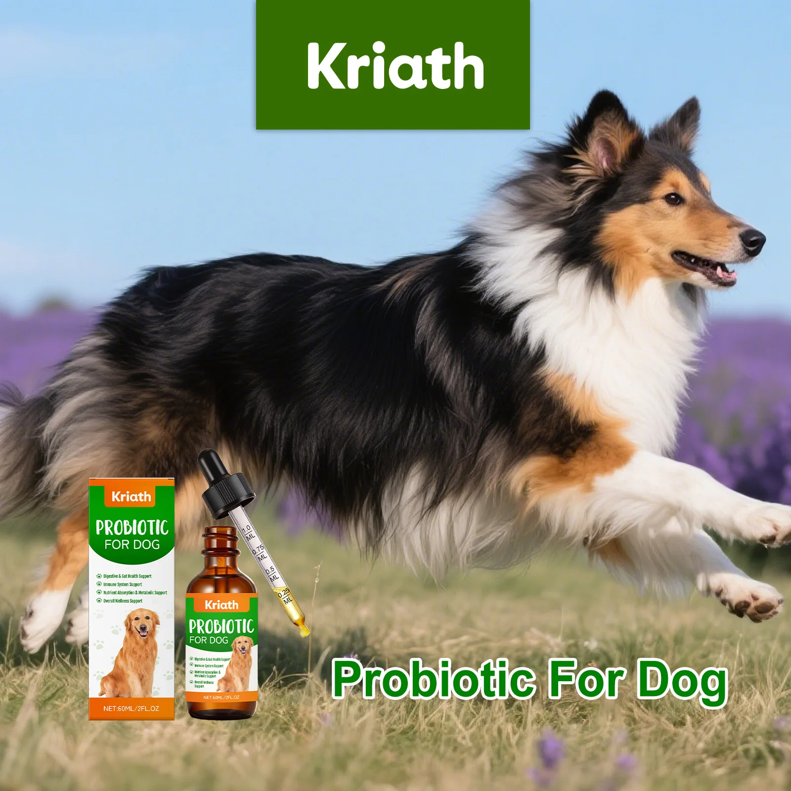 Gouttes d'entretien digestif doux-probiotique pour chien, soutient la santé intestinale, augmente l'immunité, aide à l'absorption, nourrissant, facile à absorber