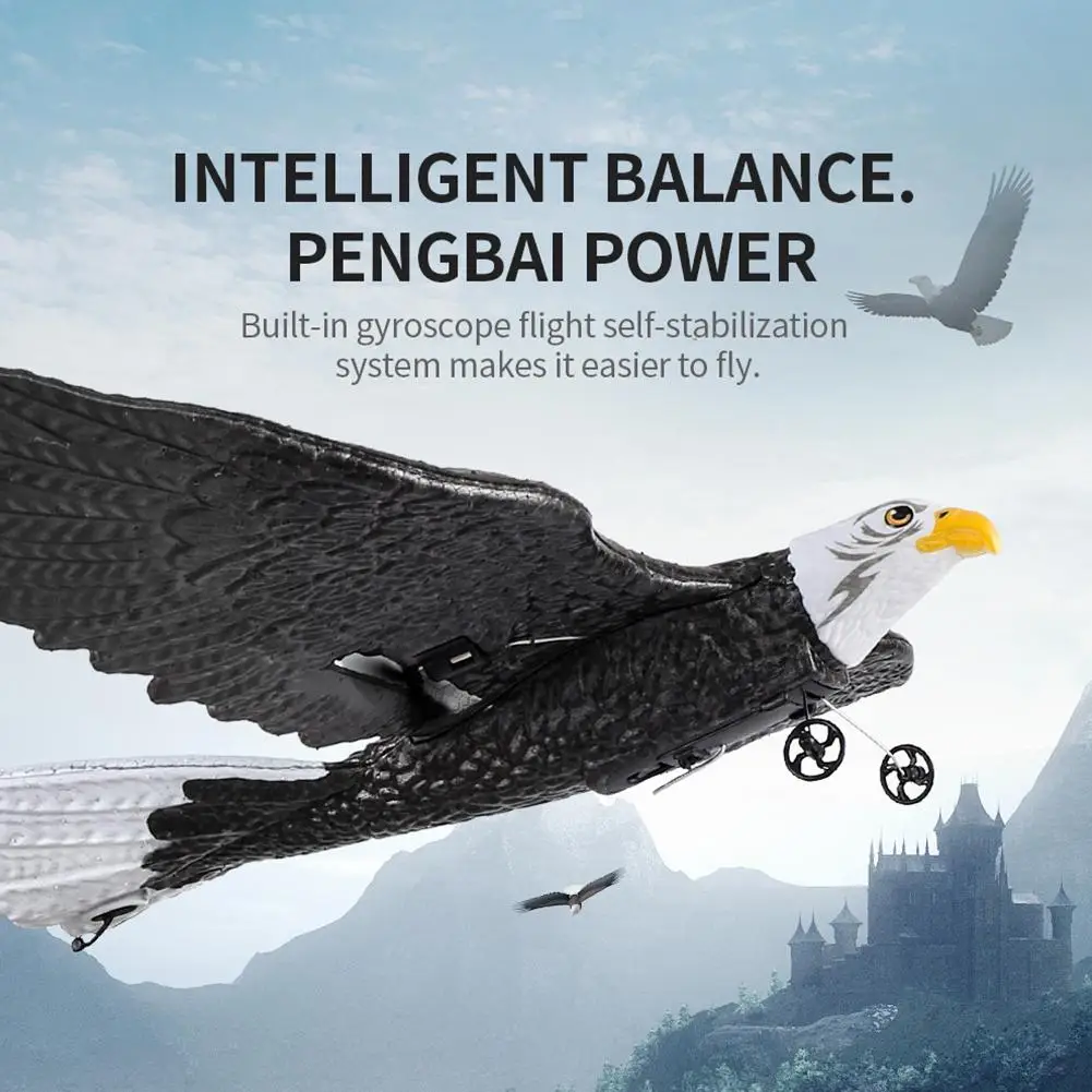 ƿ ̱  ,  RC ۶̴, EPP  RC װ 峭,  , 2.4G
