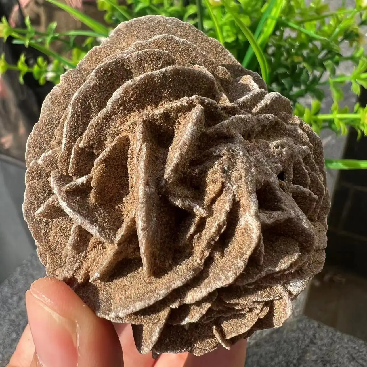 5-6Cm Cristallo Naturale Deserto Rosa Campione Grezzo Pietra Di Quarzo Pietra Curativa Di Alta Qualità Minerali Reiki Bellezza Decorazione Della Casa