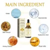 Bee Venom Anti Wrinkle Essence Anti-aging Polypeptide Hyaluronic Acid  Essence Can Repair Moisturize and Tighten Facial Skin 4