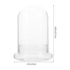 Moss Eco Bottle Plants Glass Cloche Bell Artificial Micro Landscape Accessory Clear Dome Display Ecological Desk Terrarium 3