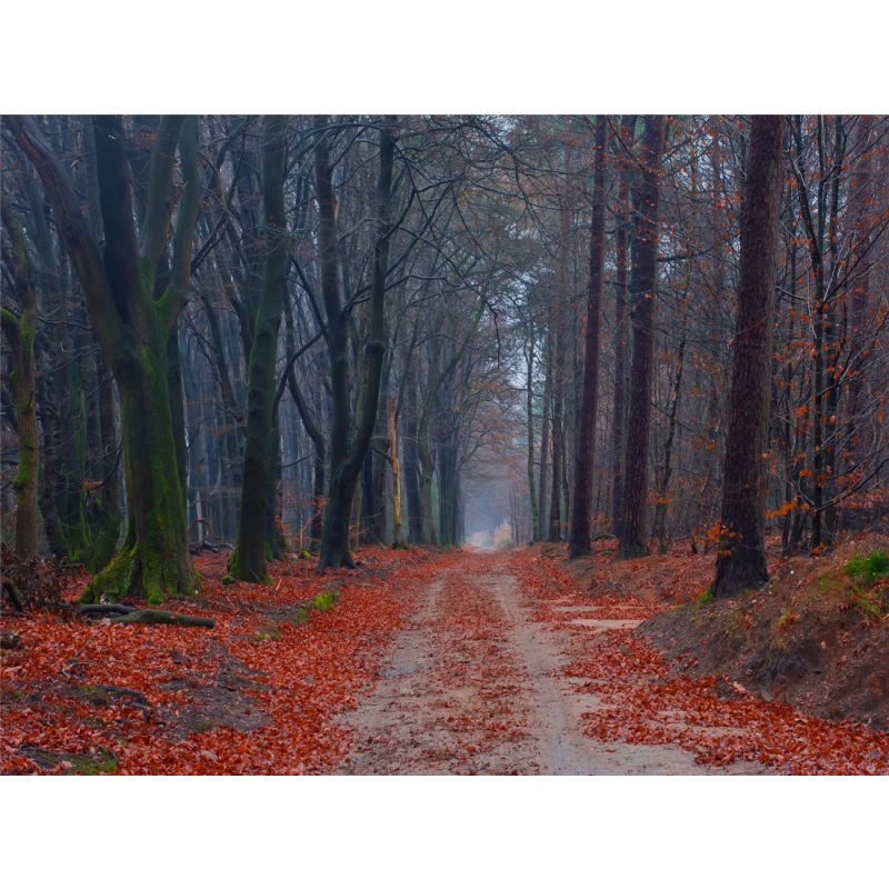 Póster de lienzo con decoración de otoño, hojas amarillas, vista de otoño, arte de pared, impresión, pintura de puente, imagen de Halloween, decoración del hogar para sala de estar