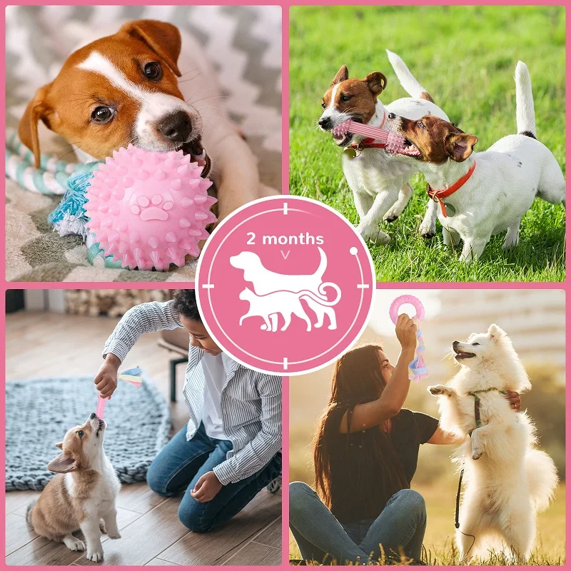 Soft Dog Chew Toys Pink Rubber Bone Toy Durable Molars Training Ball Toy Chihuahua Yorkie Interactive Treat Toys Pet Supplies 5