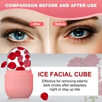 Moule à glaçons en silicone pour le visage, 1 pièce, pour la beauté et les soins de la peau, rouleau à glace pour le visage 3
