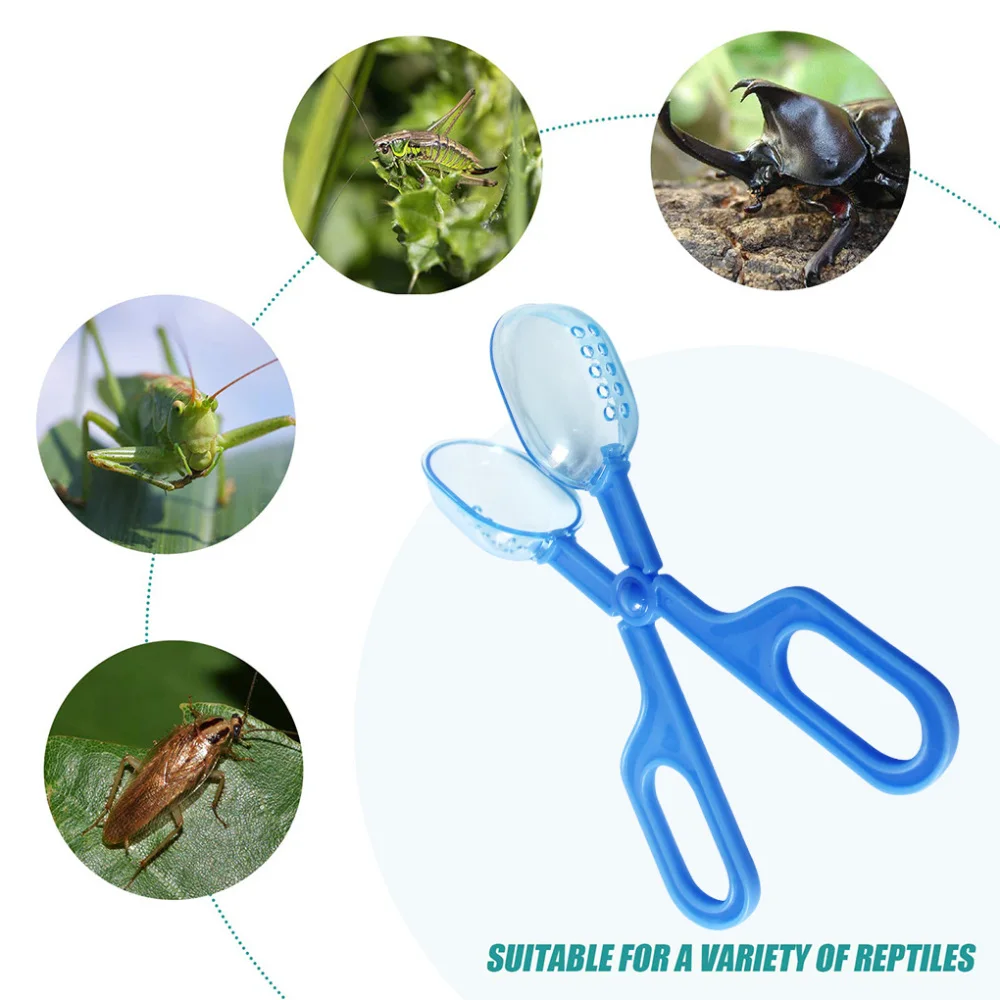 Fadcaer Kit 6 Attrape-Insectes Enfants – Ciseaux & Pinces Colorées – Outils Exploration Nature Plein Air – Observation Insectes