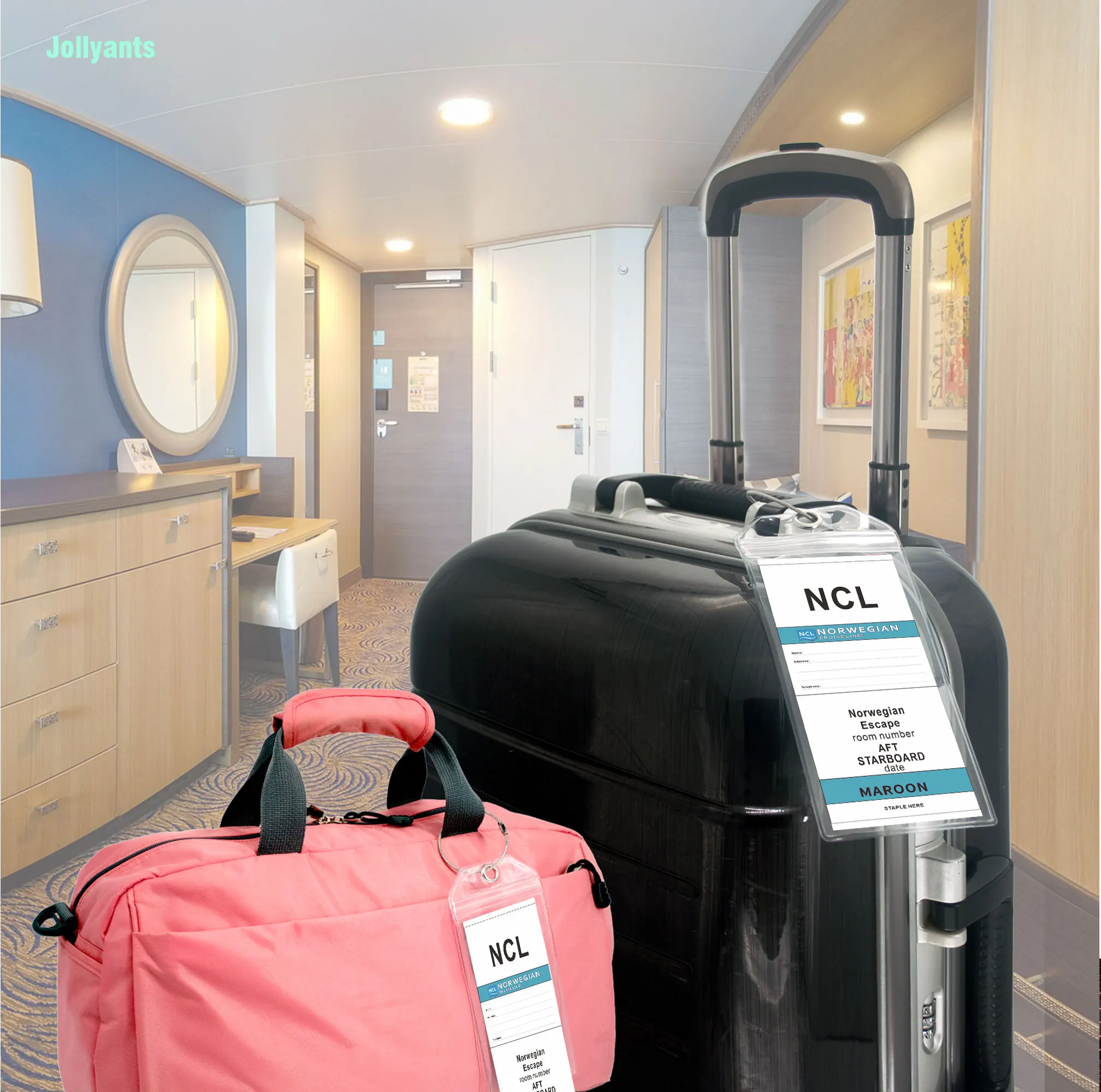 Рисунок 2 - Багажная бирка NCL для норвежского круизного лайнера