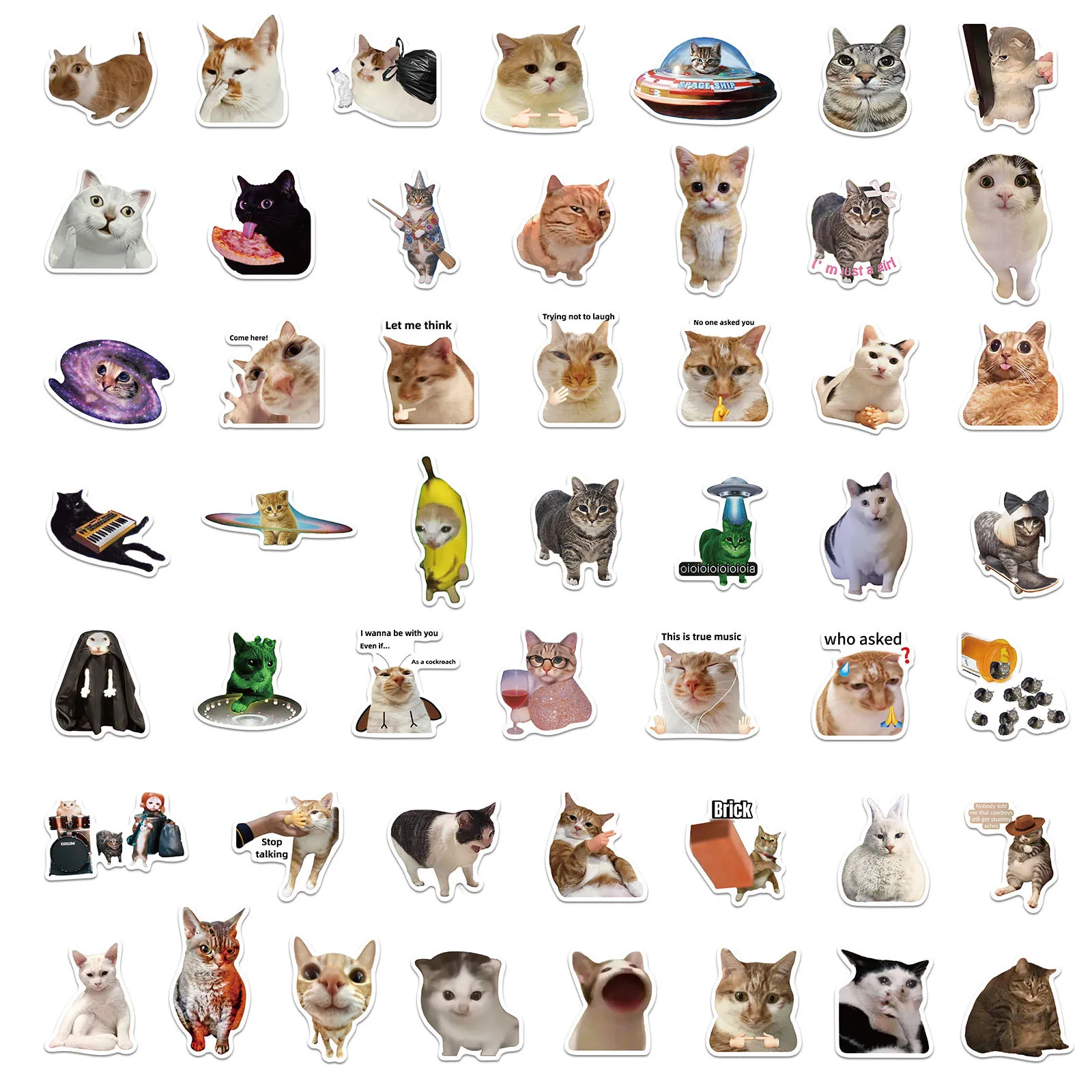 50Pcs Funny Cat Meme Stickers Pack Cute Graffiti Vinyl Stickers for Water Bottles Laptops Phones Case DIY Decoration