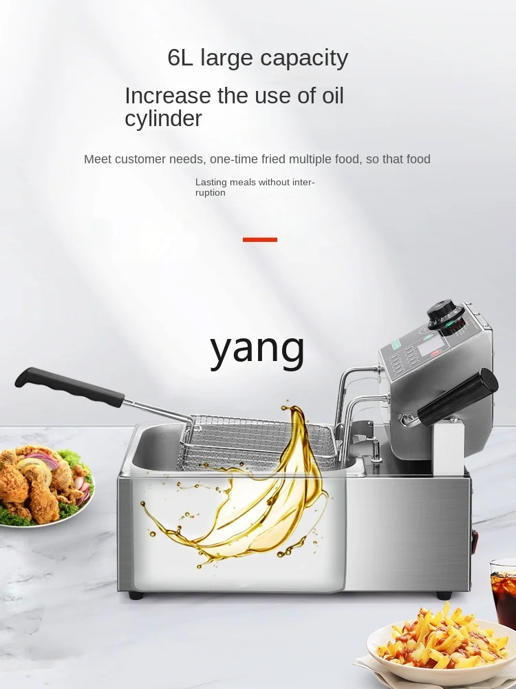 CX Commercial Timing Single and Double Cylinder 220V Intelligent Automatic Lifting Electric Fryer