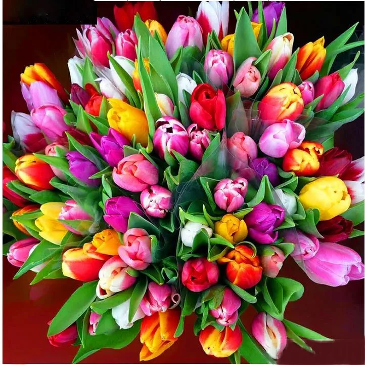 8118060538291899  30x30   x5