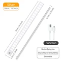 Silver 50CM