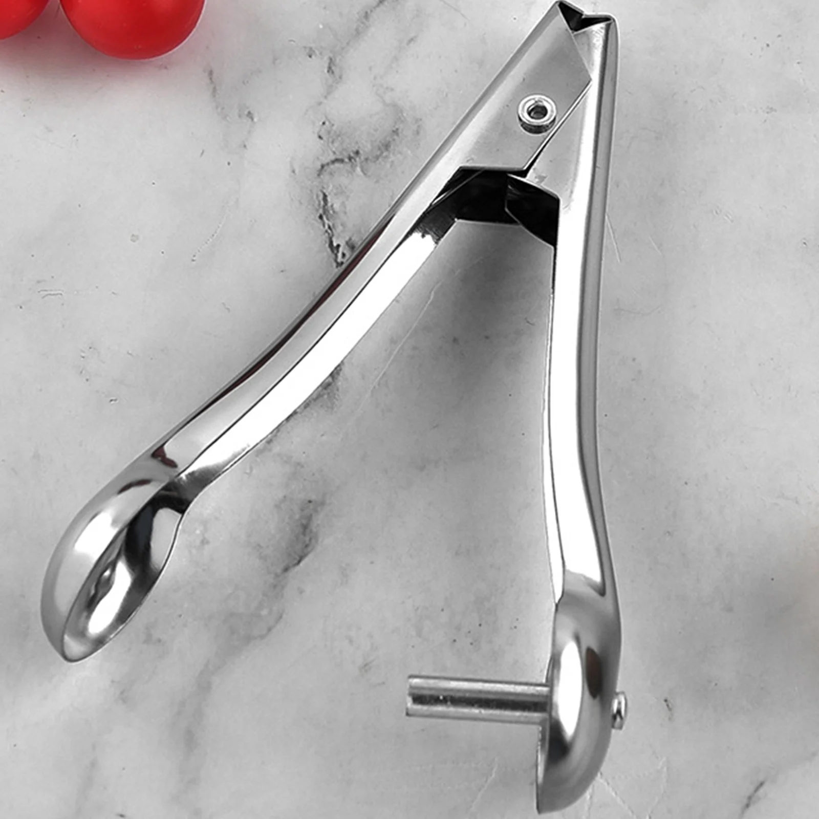 Cherry pitter fruit pit remover stainless steel kit for home kitchen hand press