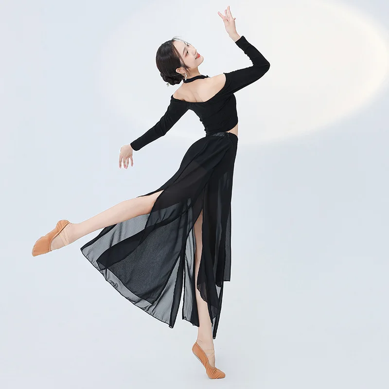 Женский эластичный элегантный тонкий шифоновый костюм с юбкой, балетные трико