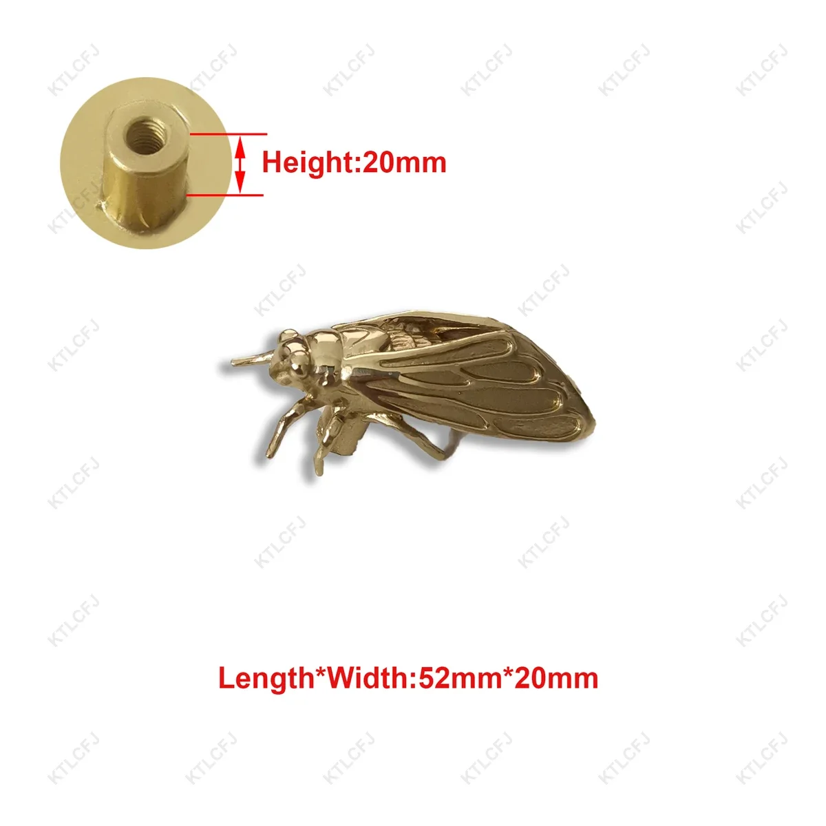 Cicada2