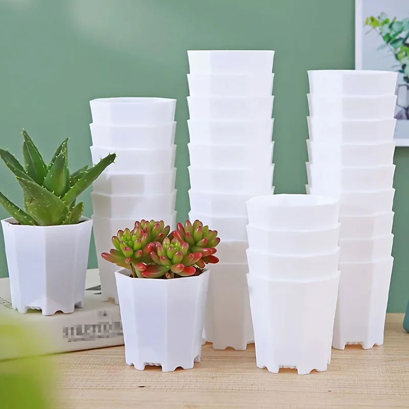 10/20pcs Octagonal Flower Pots Plastic White Planters with Drainage Holes Home Decor Succulents Indoor Outdoor Gardening TMZ