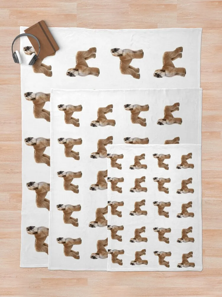 ������ �Ͽ�� ���ο� ���, ǫ���� ǫ���� �ε巯�� ǫ���� �Ƹ��ٿ� ���