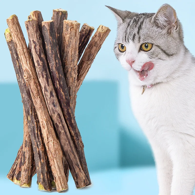 10/20PC Natural Matatabi Cat Snacks Sticks Cat Molar Stick Actinidia Fruit Silvervine Sticks Pet Cleaning Teeth
