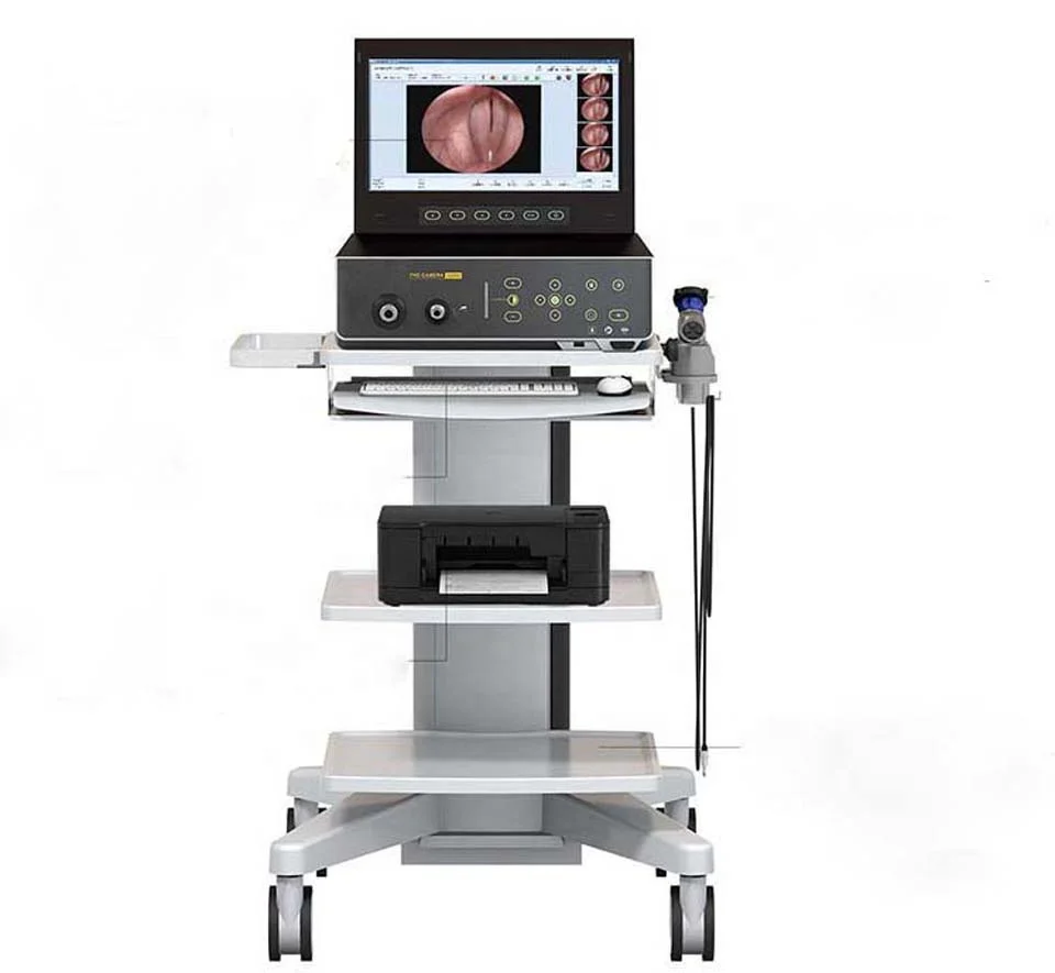 

Rigid And Flexible Fiber S,Sinuscope, Otoscope, Laryngoscope, Arthroscope, Spine , Cystoscope, Ureteroscope