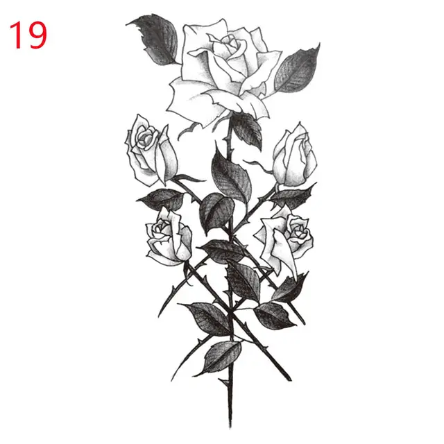 Image 32