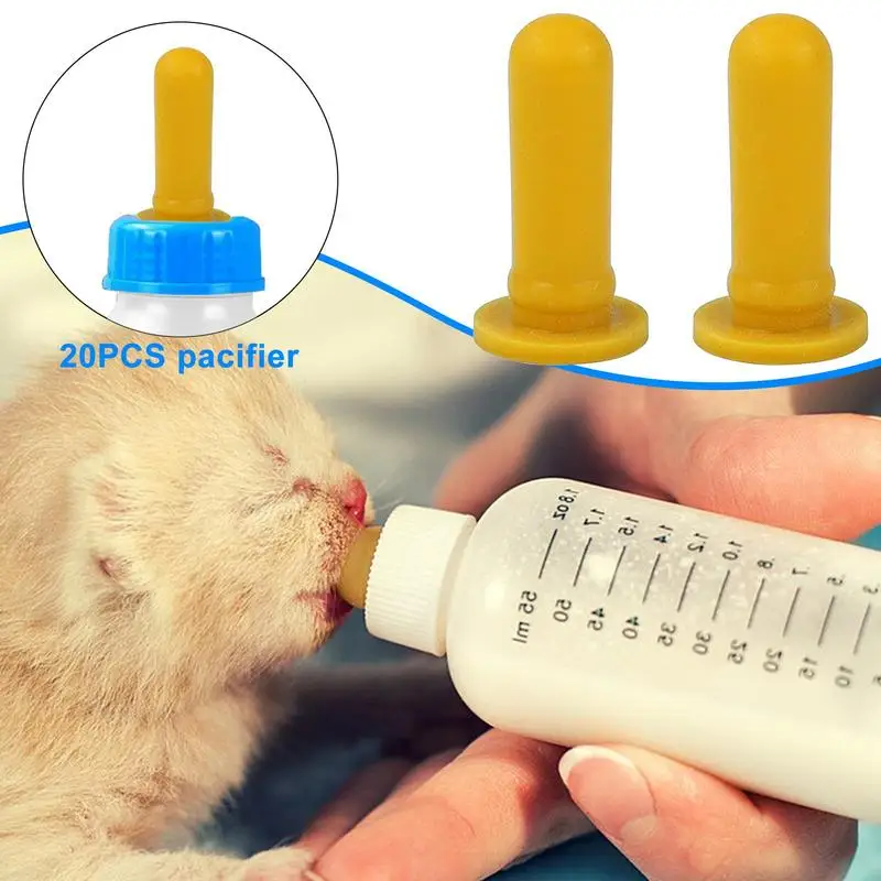 How To Properly Bottle Feed A Kitten