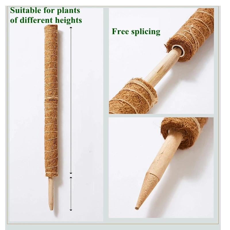 30/40/50CM Plant Climbing Pole Palm Stick Vine Support Extension Potted Plants Support Stakes Moss Pole Garden Tool Flower Decor