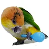 3PCS Parrot Rattle Sand Hammer Sand Ball Bird Bites Wisdom Interactive Training Toys Pet Accessories Bird Toys Juguetes 2