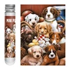 Test Tube Jigsaw Puzzle 150pcs World Famous Painting Van Gogh Monet Sunrise Impression Decompress Toy Educational Family Game 3