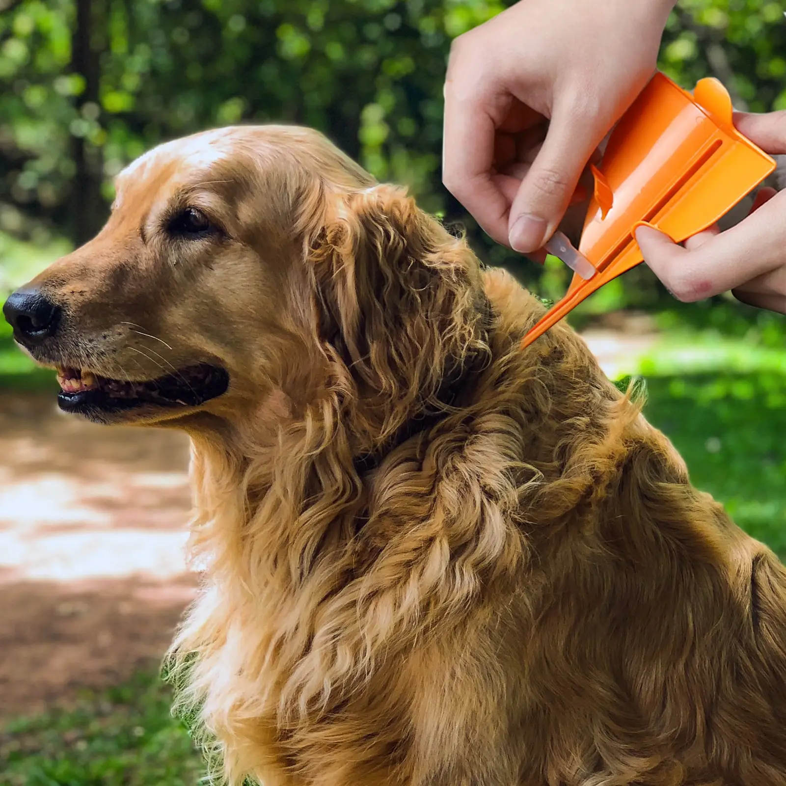 Cat Flea Triangle Dripping Helper Help To Drip Dog Kitten Puppy Tick