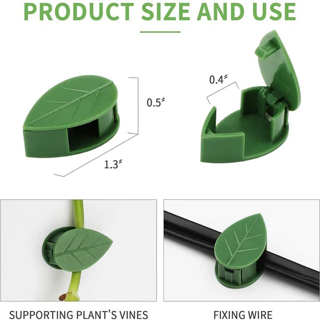 10-40Pcs Láthatatlan Növényi Hegymászó Fal Rögzítő Rattan Szőlő Tartó Rögzített Csatlevelek Klipek Vontató Kerti Tapadás Formázás - Image 6