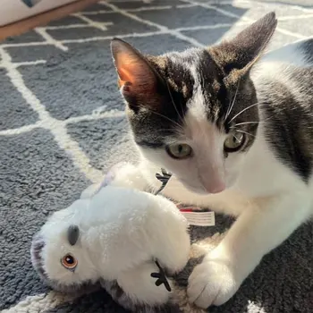 Cat Toy Bird Interactive Cat Toys Flying Bird Cat Toy Flapping Wings Sparrow Toys Simulated Chirping Bird Cats Toy for Kitten 5