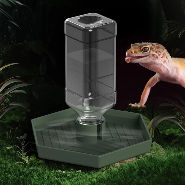 Reptile Water Dispenser, Water Bowl, Feeding Supplies, Suitable for Lizards, Turtles, Geckos, Terrarium Accessories Reptile Water Dispenser, Water Bowl, Feeding Supplies, Suitable for Lizards, Turtles, Geckos, Terrarium Accessories