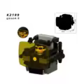 K2199