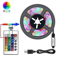 10M 2835 USB LED Strip Light RGB 24-key Remote Control Flexible Lamp Tape Lights Ribbon TV Desktop Screen Backlight Diode 2