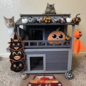 cat house
