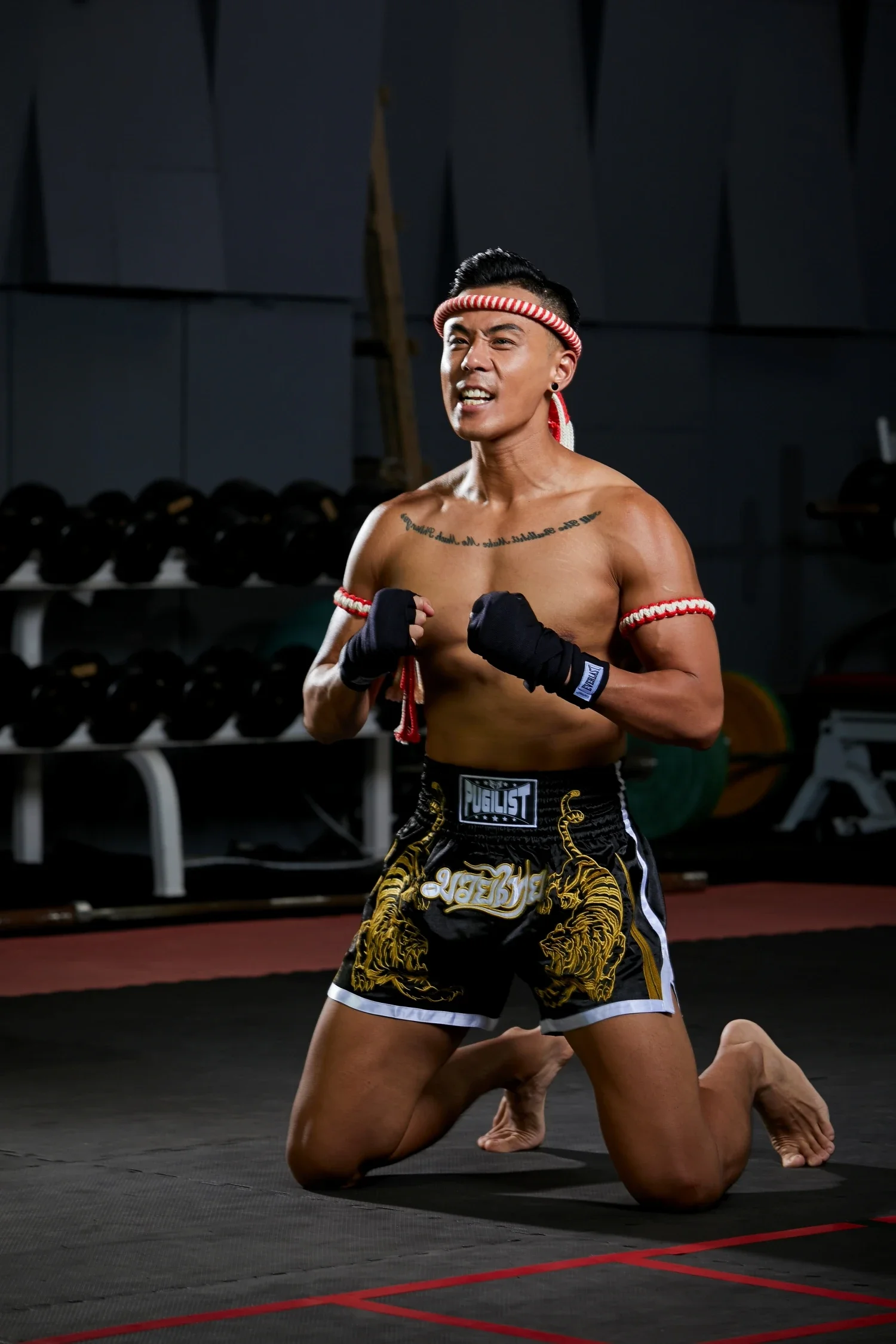 PUGILIST P2 ݹ, Ÿ Ÿ̰ ݹ,  ο, ª  ڼ, ӰǼ ݹ