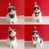 Christmas Cat Hat Cat Knitted Scarf Set Soft Winter Christmas Soft Santa Claus Costume Scarf For Dog Cats Pet Xmas Cat Supplies 5