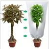 Winter Plant Protection Cover 3