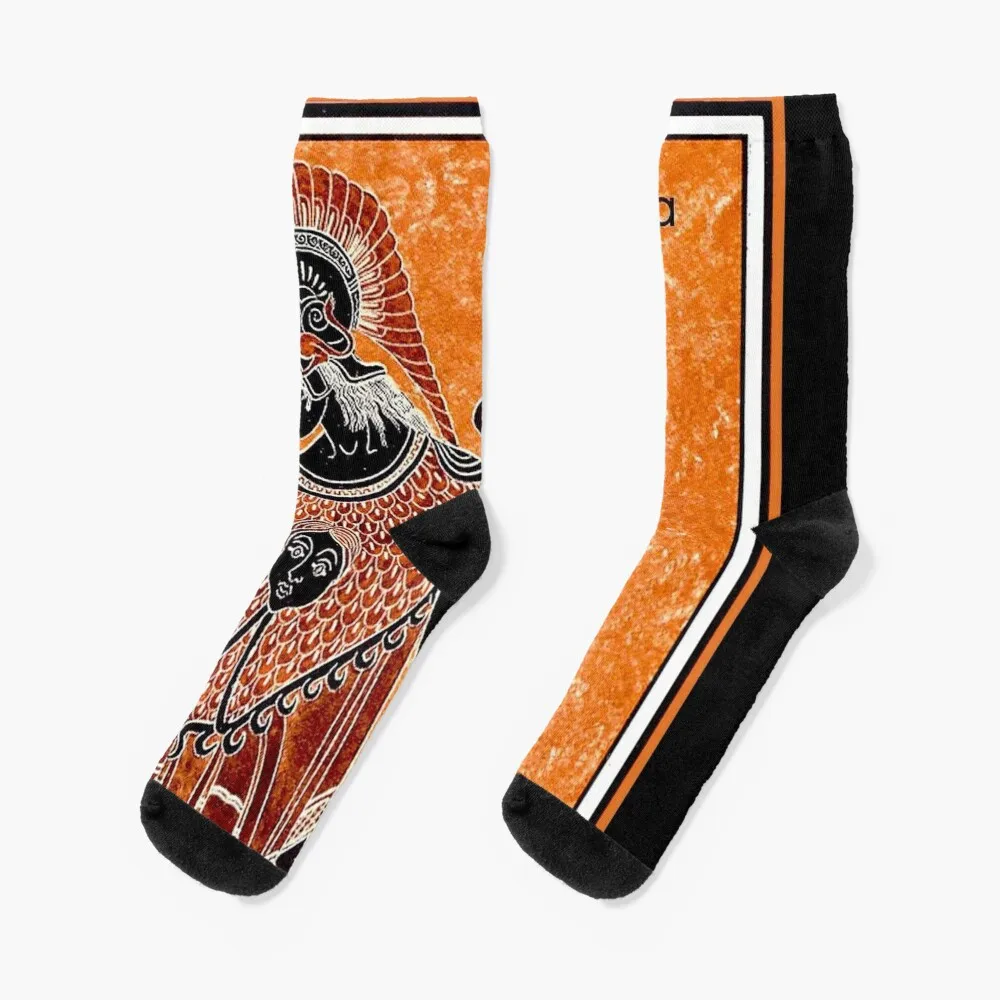 

ATHENA : Vintage Greek Goddess of War Print Socks Christmas Socks