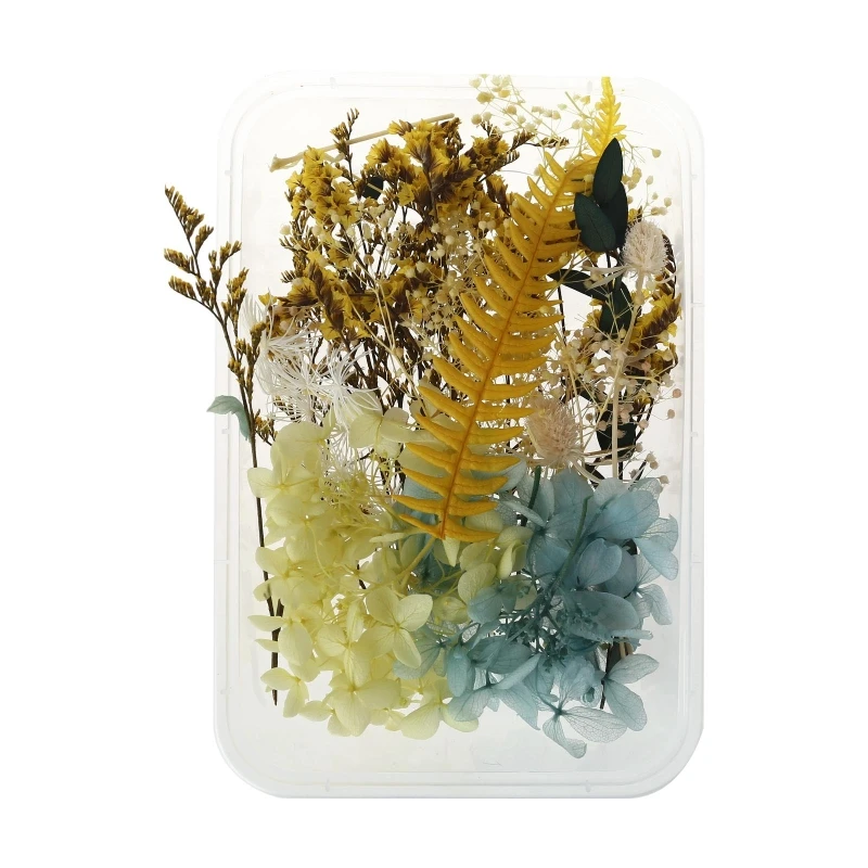 1 Box Real Mix Dried Flowers for Aromatherapy Resin Jewellery Dry Plants Pressed Flower Making Craft DIY Accessories Home